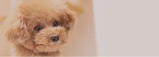 店舗紹介