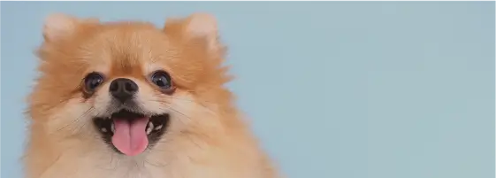 店舗紹介