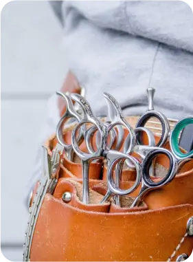 トリミングに使用する道具